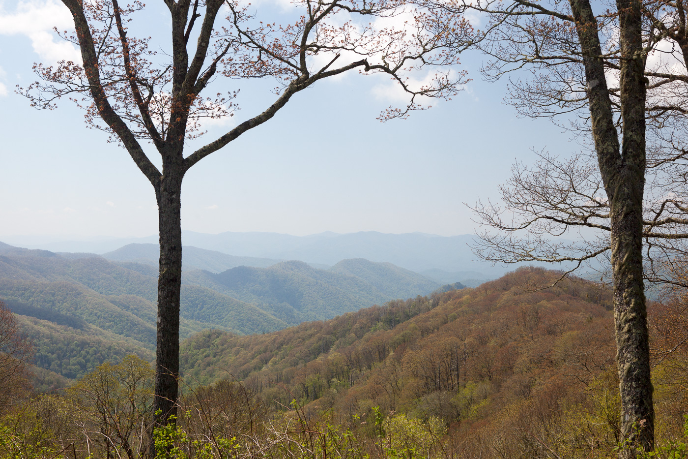 9740smokymountains