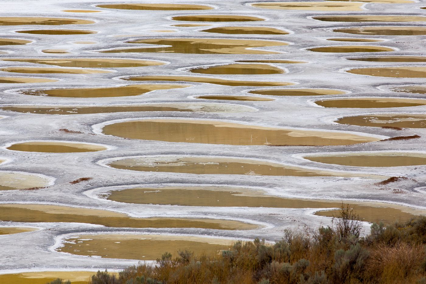 Spotted Lake