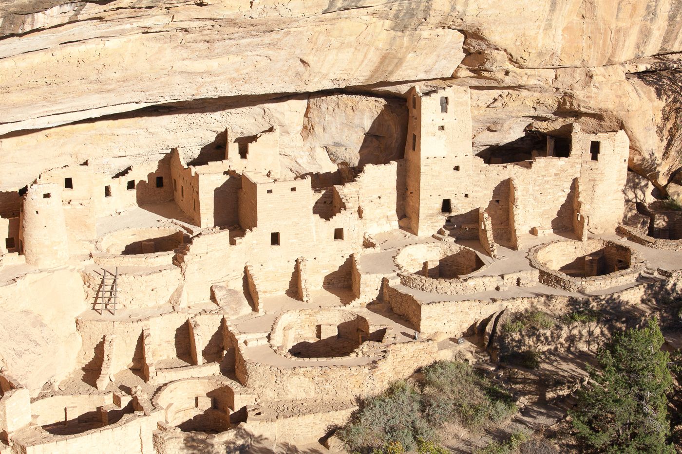 Mesa Verde