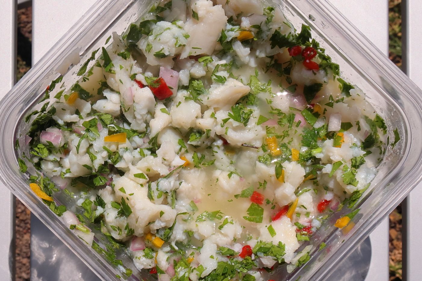 Ceviche – en opskrift