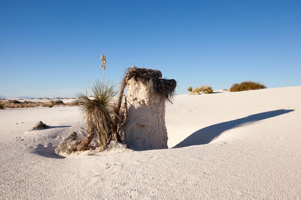 White Sands