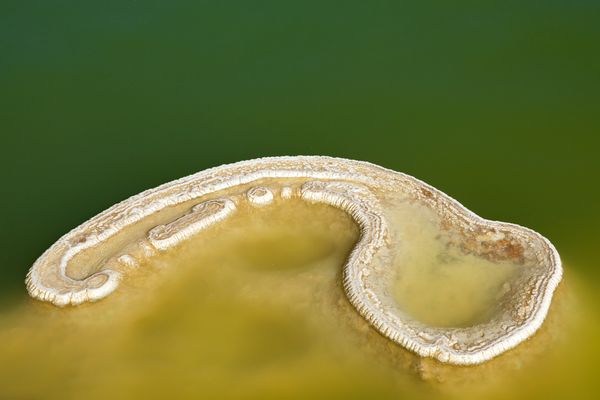 Hierve el Agua